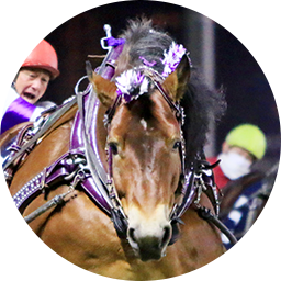 メムロボブサップ