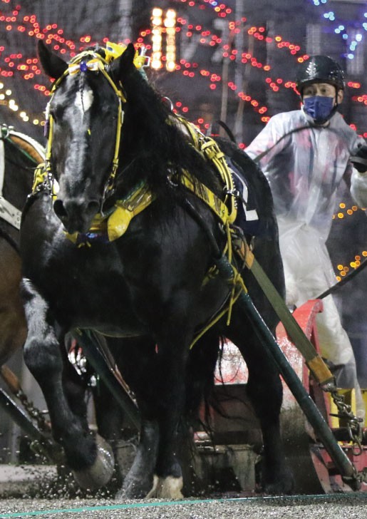 【中古】30years Iwate Keiga 岩手県競馬組合30周年記念誌 中古】30years Iwate Keiga 岩手県競馬組合30周年記念誌