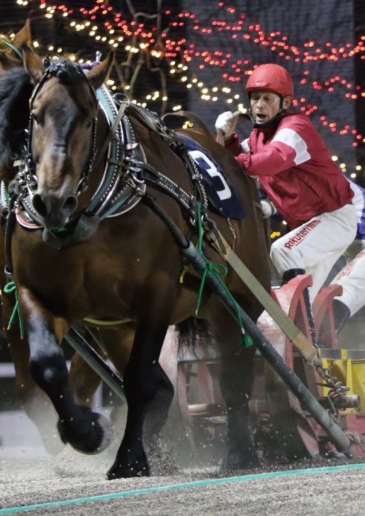 競馬ファン必見‼️超レア‼️第38回皐月賞優勝記念 競馬ファン必見‼️超