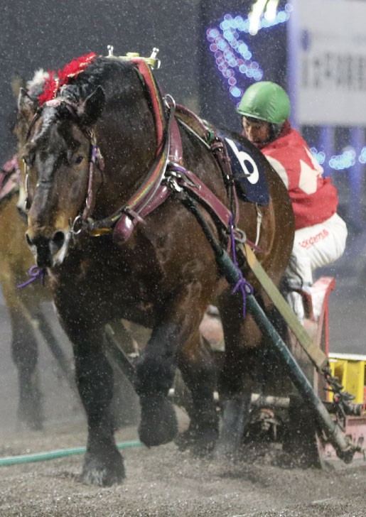 チャンピオンカップ | 【公式】ばんえい十勝