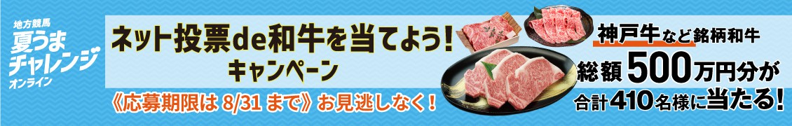 地方競馬　夏うまチャレンジ