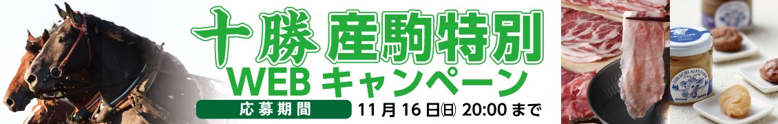 甲子園キャンペーン