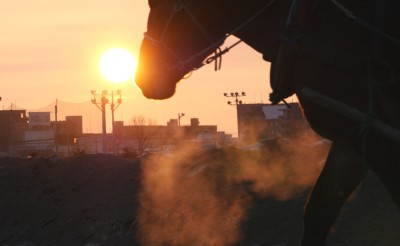 カメラ持参で参加したい！朝調教ツアー