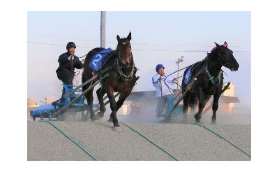 10/15　全道祭典ばんば1才馬決勝大会