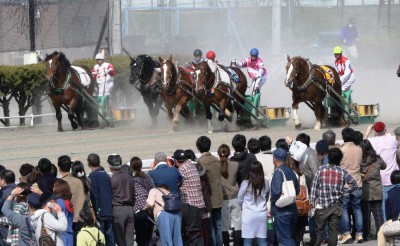 金曜限定！ばんえい十勝体験レース開催