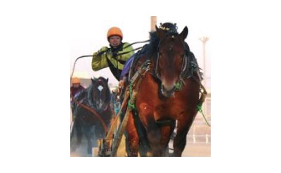 3/21　帯広競馬場イベント