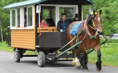 八千代牧場まつり　キング号馬車運行