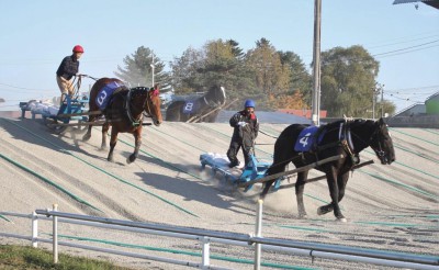 全道祭典ばんば1才馬決勝大会