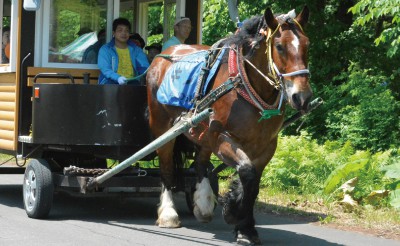 八千代牧場まつり　馬車運行