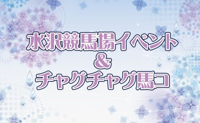 水沢競馬場イベント＆チャグチャグ馬コ