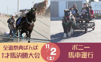 11/2　全道祭典ばんば1才馬決勝大会・ポニー馬車運行実施