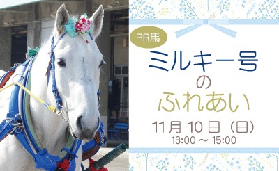 11/10　PR馬ミルキー号のふれあい