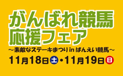 11月18日(土)・19日(日)　がんばれ競馬応援フェア