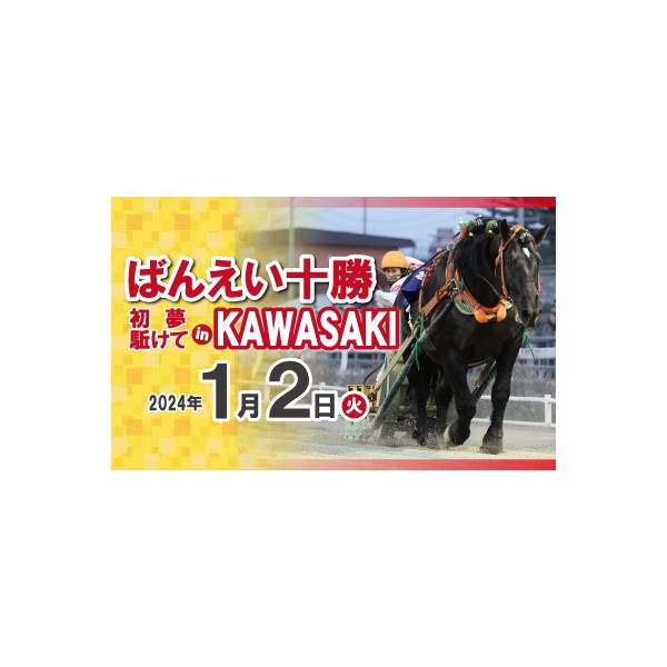 廃競馬場巡礼　　帯付き初版本　希少品 馬産地80話―日高から見た日本競馬 | 岩崎 徹 |本 | 通販 | Amazon