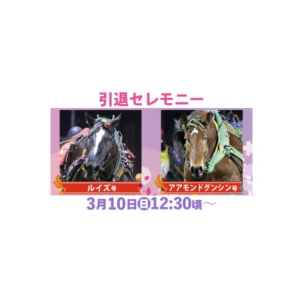 おけいはん(引っ越しの為9月10日)まで 3月10日（日）引退セレモニー実施 | 【公式】ばんえい十勝