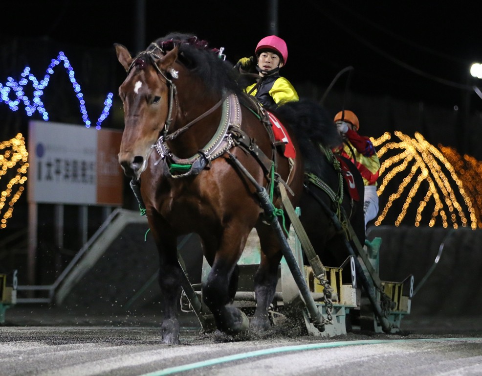 大幅値下げ中！【激レア】ばんえい十勝JRA騎手生サイン入りポスター Yahoo!オークション - B3ポスター JRA シンボリクリスエス