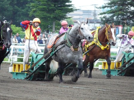 騎手 長澤幸太 | 【公式】ばんえい十勝