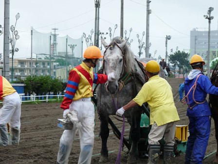 競馬 2019ばんえい最優秀馬 長澤幸太騎手直筆サイン木箱 本物証明書入り蹄鉄 2025年最新】蹄鉄 ばんえいの人気アイテム - メルカリ