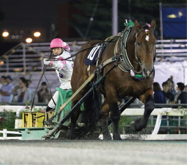 競馬 歴代ばんえい最強馬投票優勝馬 鈴木恵介騎手直筆サイン木箱 証明書入り蹄鉄 2023年度（令和5年度）の出来事 | ばんえい競馬は、みんなでつくるもの。