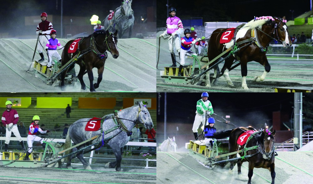 LVRレディスヴィクトリーラウンド」inばんえい十勝 | 【公式】ばんえい十勝