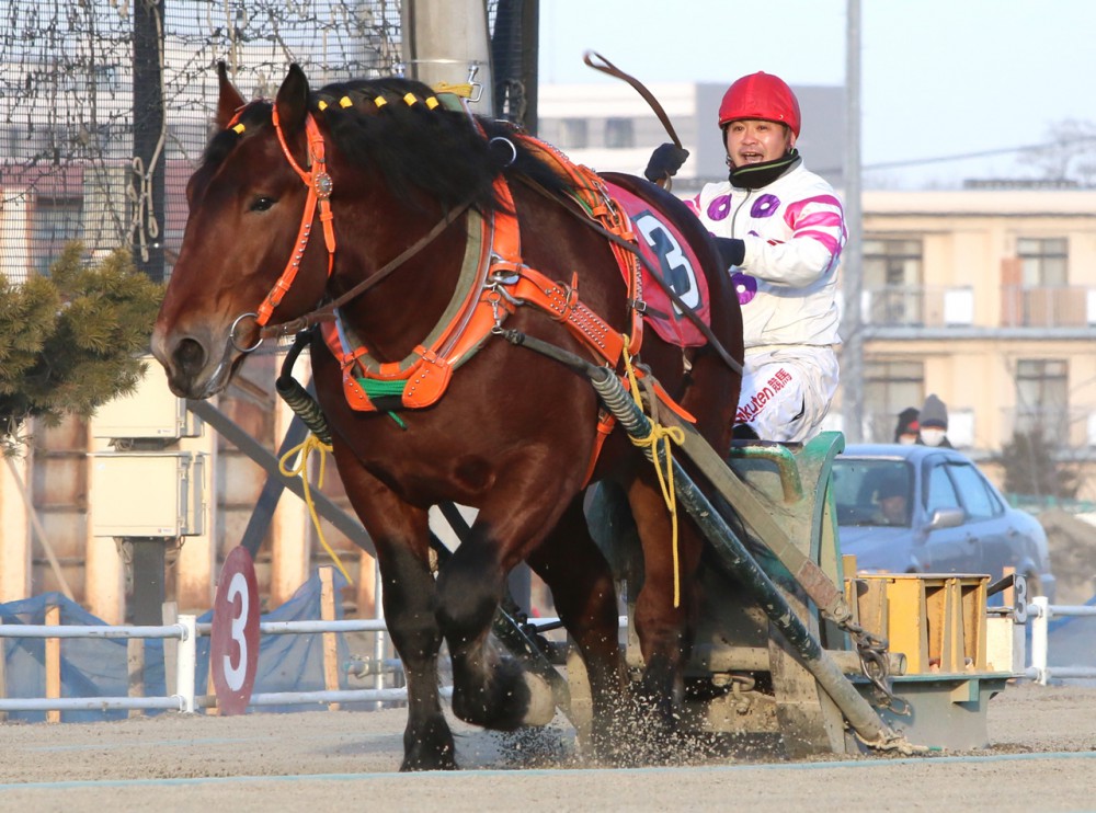 新品　未開封　ばんえい競馬　十勝　ばんえいグランプリ　法被　和　祭り　日本　赤 fkyq6J6P1629029518_l.jpg