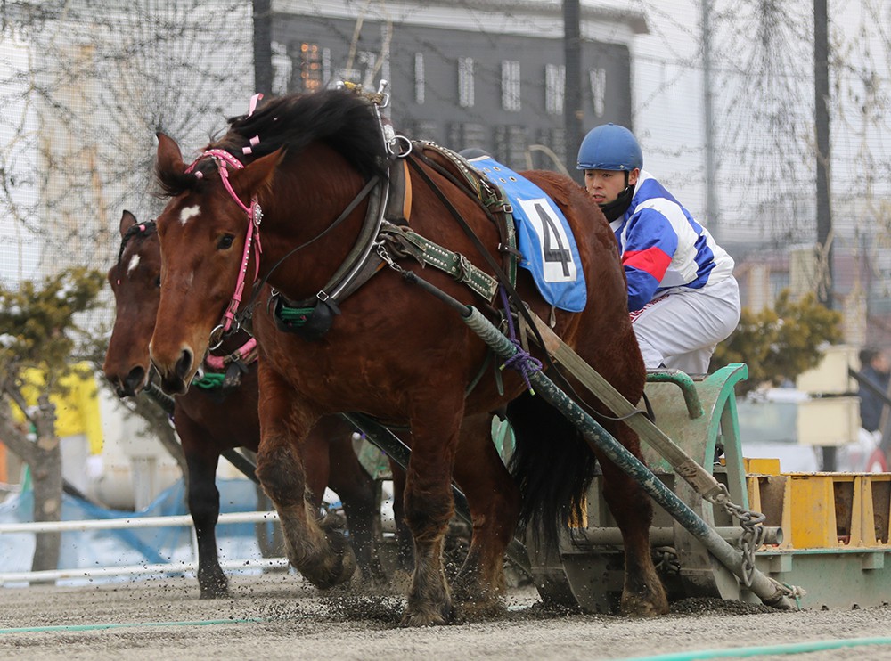 3月2日（月）ばんえい競馬 開催です | 【公式】ばんえい十勝