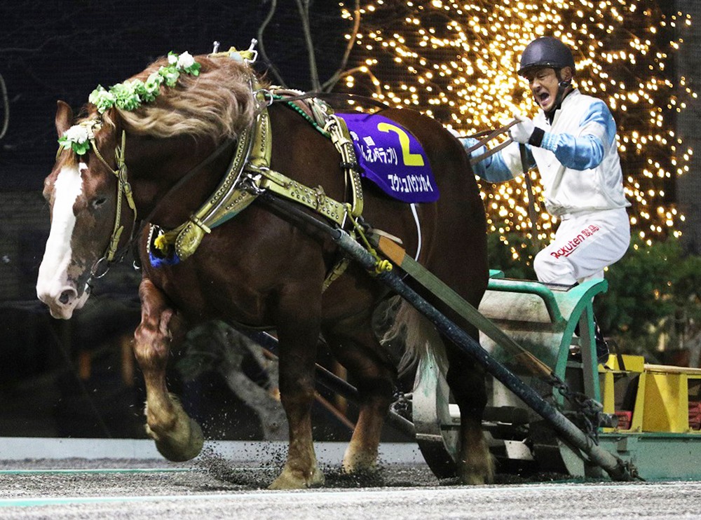 第52回ばんえい記念 出走馬 確定 | 【公式】ばんえい十勝