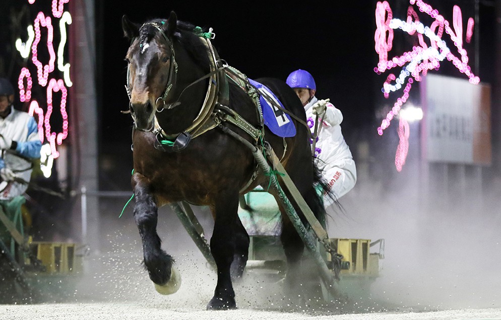 3月22日（日）ばんえい競馬 開催日です | 【公式】ばんえい十勝