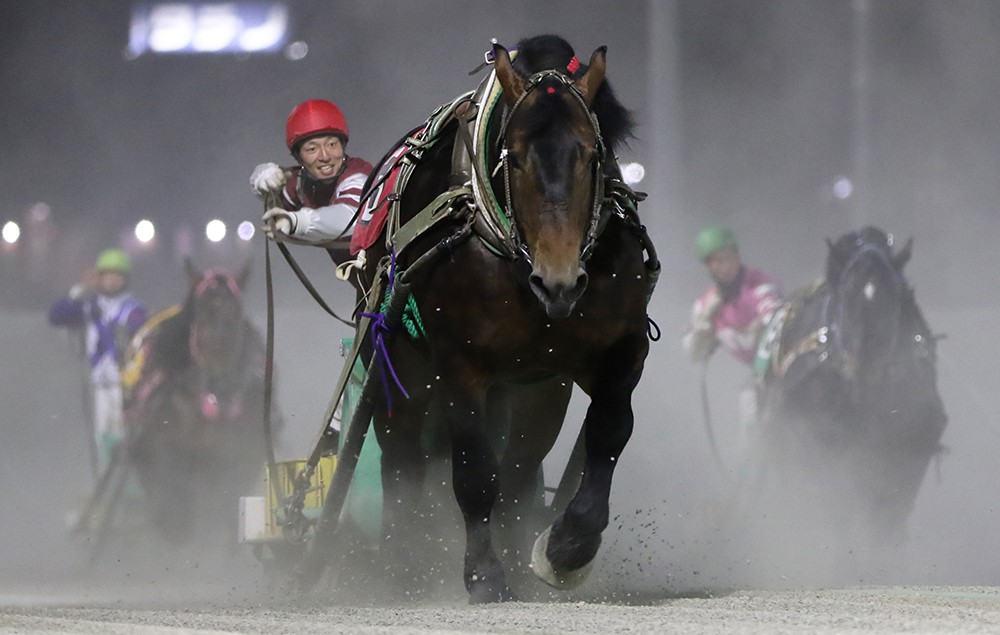 5月18日（月）ばんえい競馬 開催日です | 【公式】ばんえい十勝