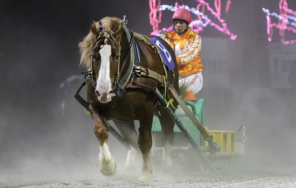 新品　未開封　ばんえい競馬　十勝　ばんえいグランプリ　法被　和　祭り　日本　赤 範馬刃牙』×ばんえい十勝、異色コラボが5月26日に開催“地上最強