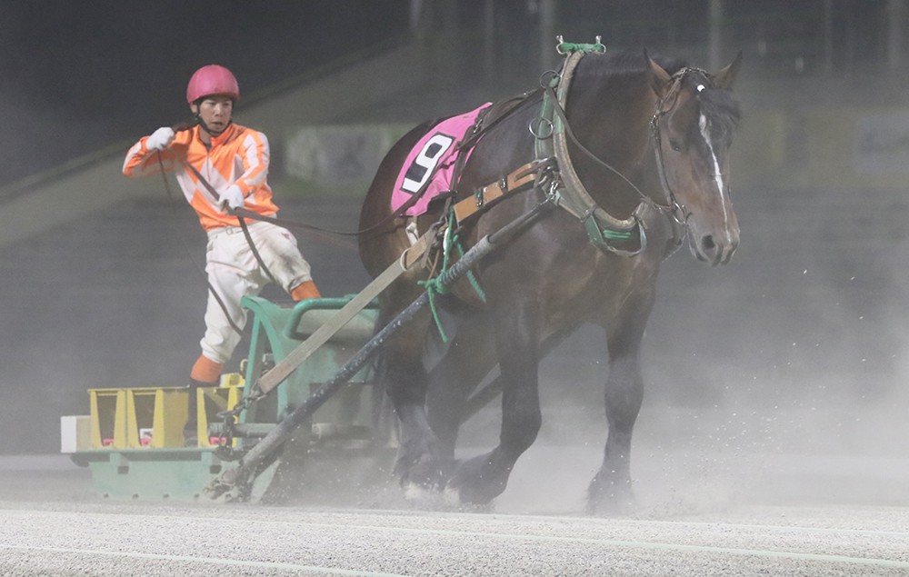6月14日（日）ばんえい競馬 開催日です | 【公式】ばんえい十勝