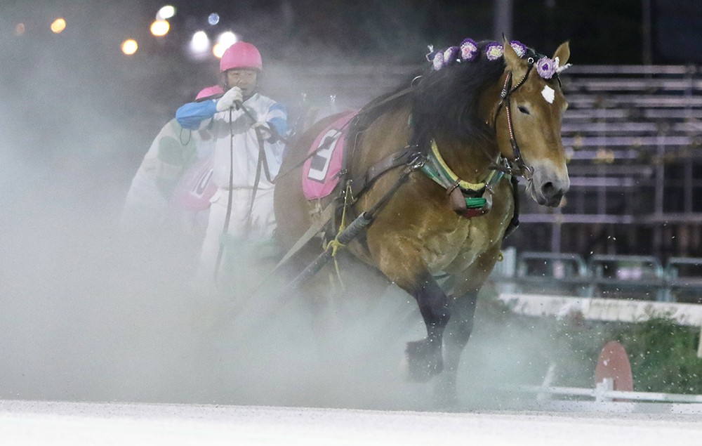 6月14日（日）ばんえい競馬 開催日です | 【公式】ばんえい十勝