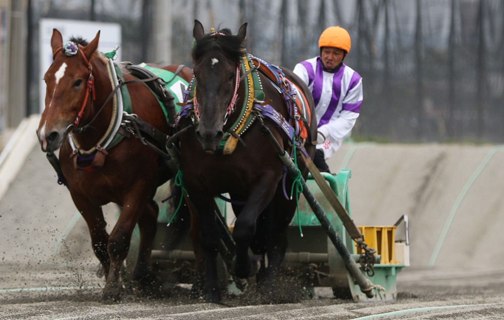 競馬 2019ばんえい最優秀馬 長澤幸太騎手直筆サイン木箱 本物証明書入り蹄鉄 競馬 2019ばんえい最優秀馬 長澤幸太騎手直筆サイン木箱 本物