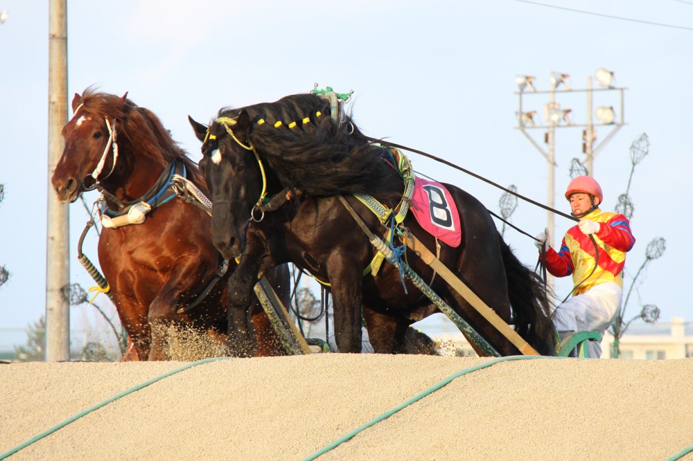 6月22日（月）ばんえい競馬 開催日です | 【公式】ばんえい十勝