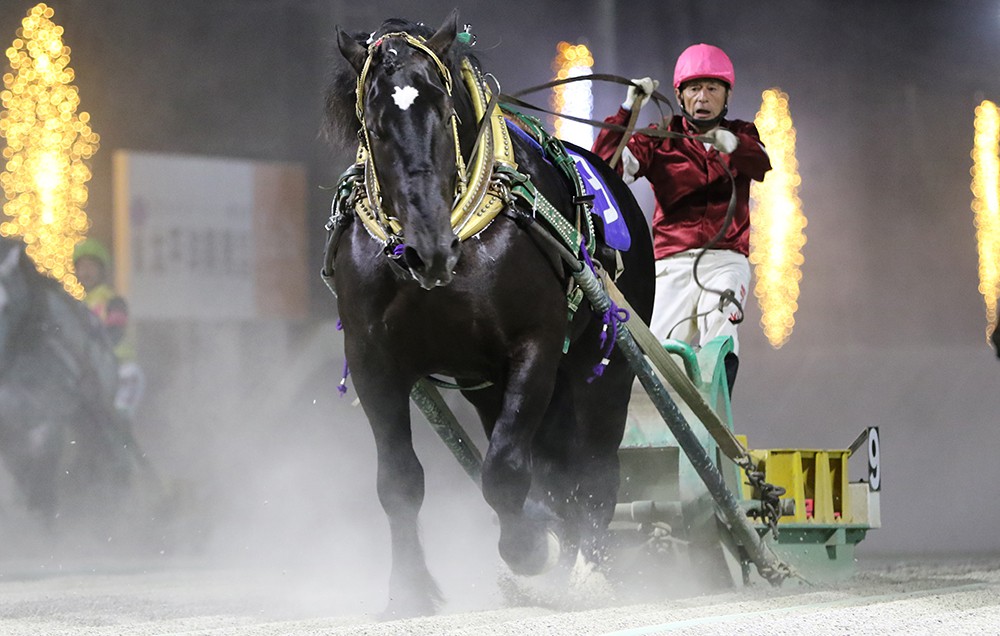 7月11日（土）メインレース騎手コメント コマサンダイヤ | 【公式