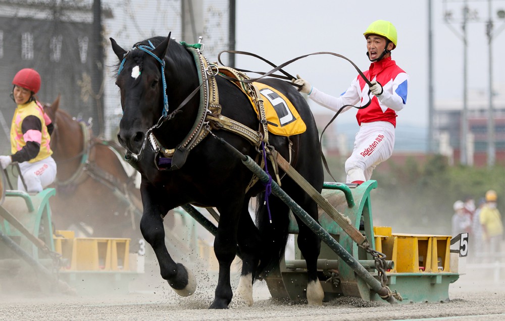 新品　未開封　ばんえい競馬　十勝　ばんえいグランプリ　法被　和　祭り　日本　赤 新品 未開封 ばんえい競馬 十勝 ばんえいグランプリ 法被 和