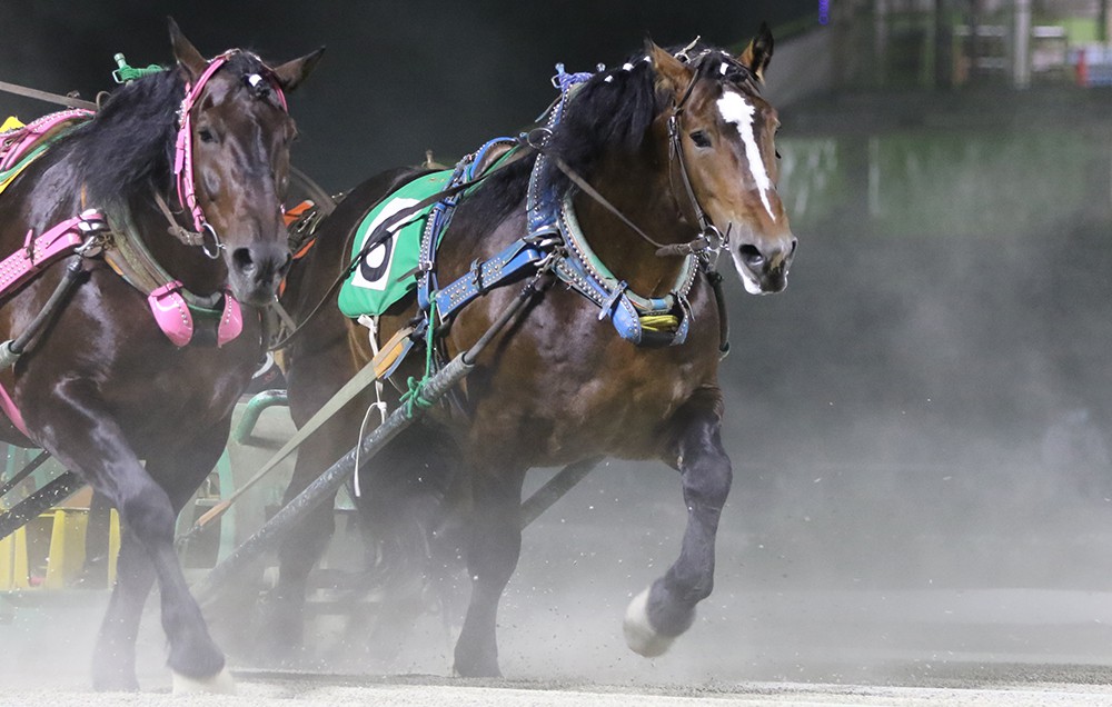 8月1日（土）ばんえい競馬 開催日です | 【公式】ばんえい十勝