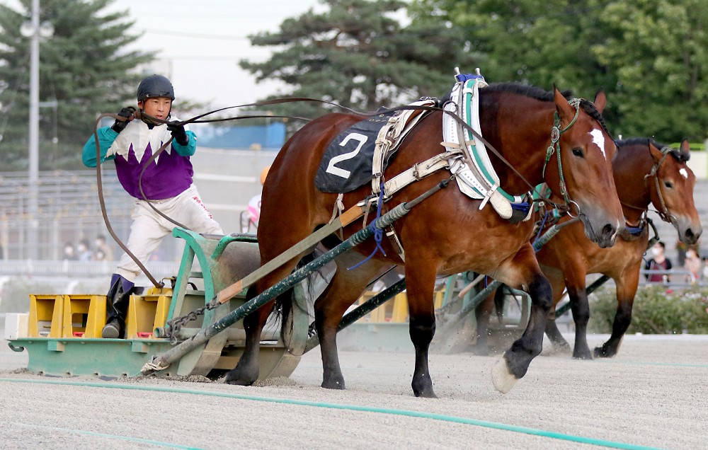 新品　未開封　ばんえい競馬　十勝　ばんえいグランプリ　法被　和　祭り　日本　赤 ばんえい十勝LIVE 2025年8月2日 - YouTube