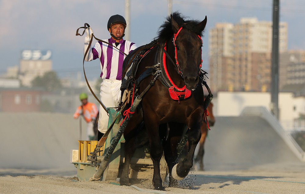 新品　未開封　ばんえい競馬　十勝　ばんえいグランプリ　法被　和　祭り　日本　赤 ばんえい十勝LIVE 2025年8月2日 - YouTube