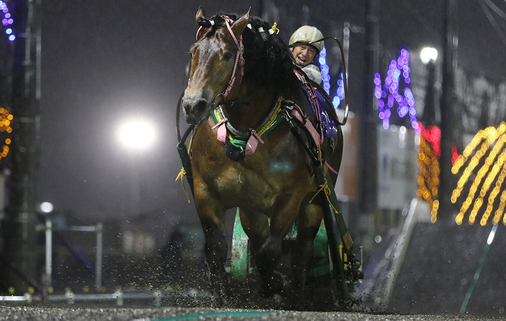 10月12日（月）メインレース騎手コメント メムロボブサップ | 【公式