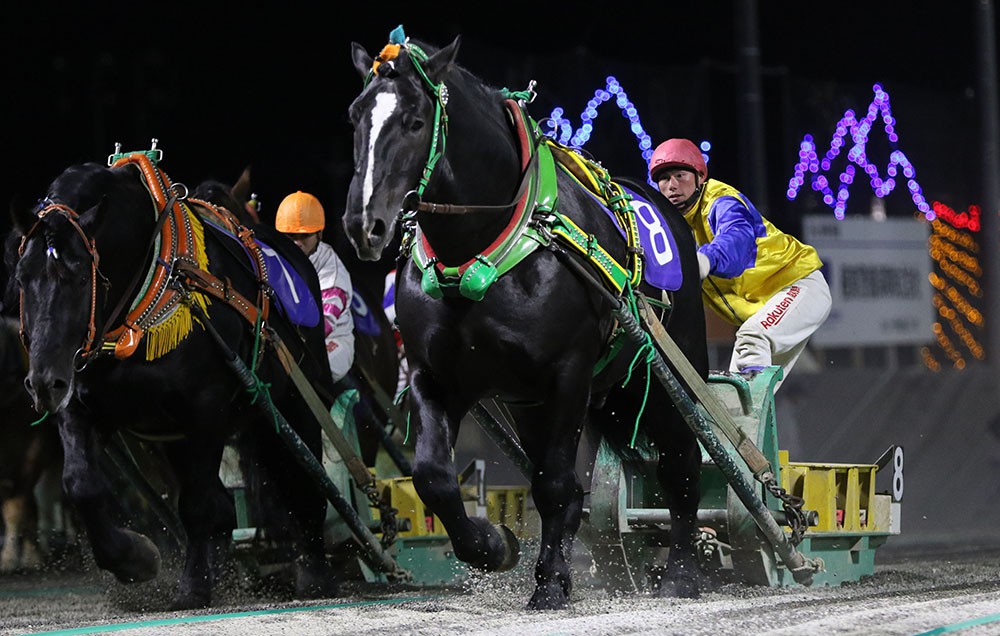 10月19日 月 メインレース騎手コメント ゴールデンフウジン 公式 ばんえい十勝 10月19日 月 メインレース騎手コメント ゴールデンフウジン 公式 ばんえい十勝