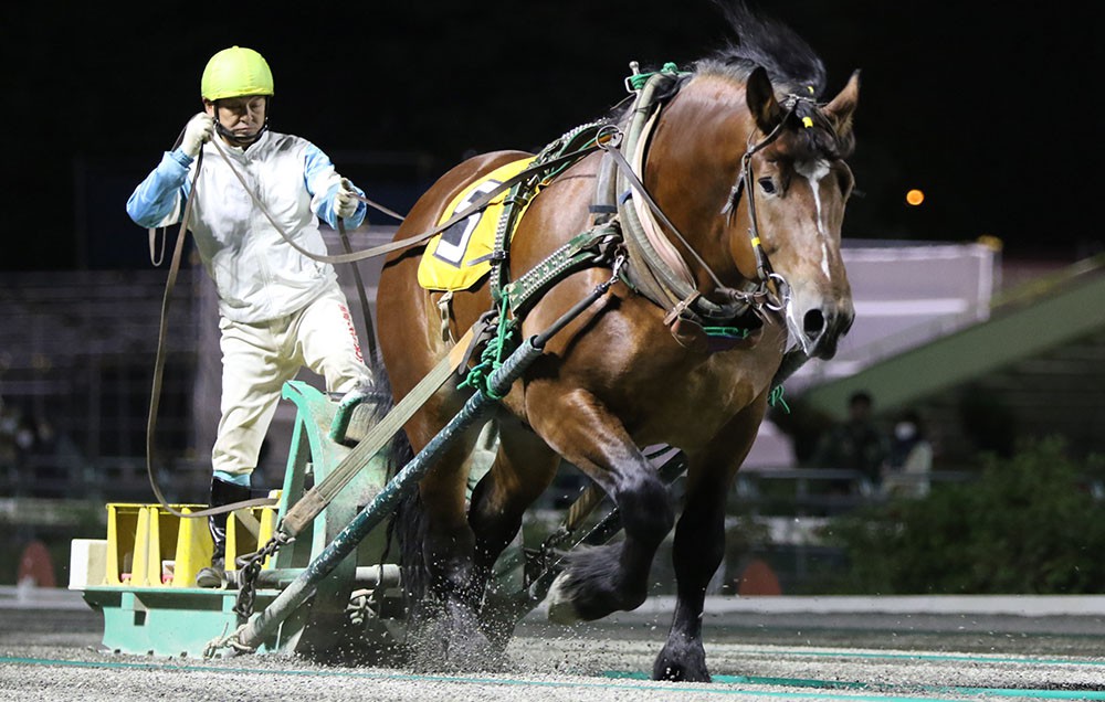 おけいはん(引っ越しの為9月10日)まで 10月19日（月）ばんえい競馬 開催日です | 【公式】ばんえい十勝