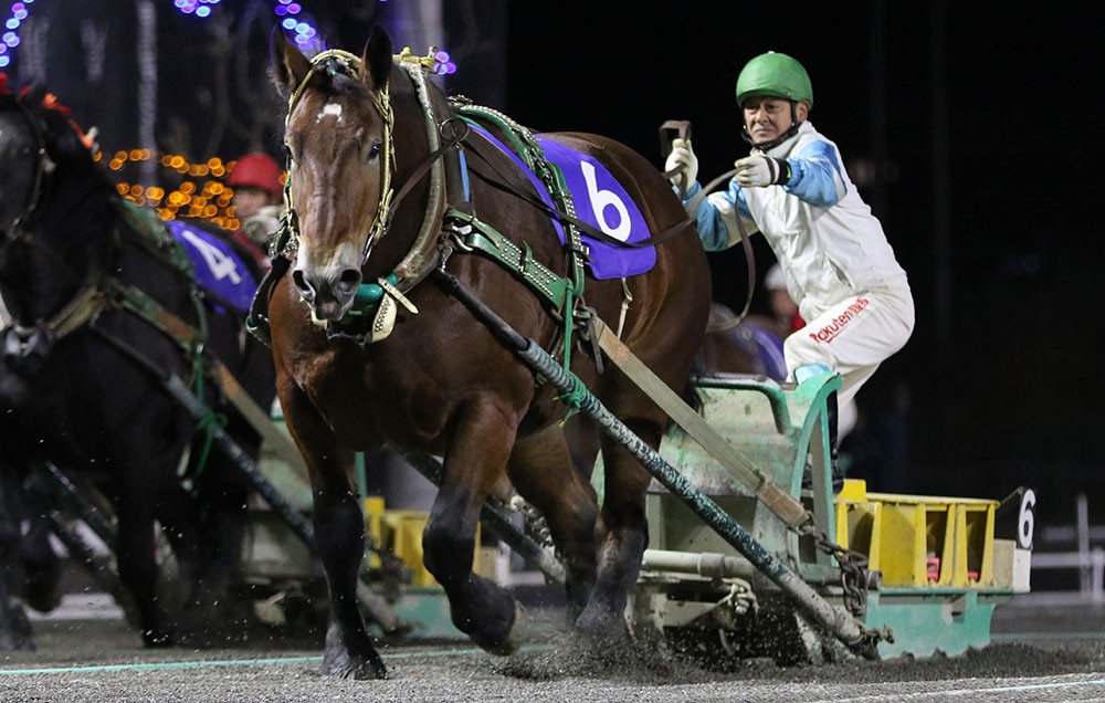 競馬ファンの方、海外レース、優勝馬 日本競馬ファンの「情熱は別次元」 海外メディアが驚いた光景「見た