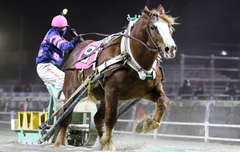 12月29日（火）ばんえい競馬 開催日です | 【公式】ばんえい十勝