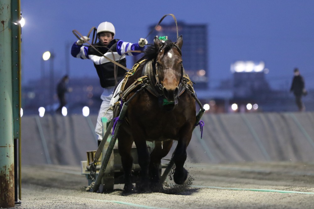 ばん馬の戦場―北海道ばんえい競馬追跡行 (MIZUKI NONFICTION S Amazon.com: ばん馬の戦場―北海道ばんえい競馬追跡行(MIZUKI