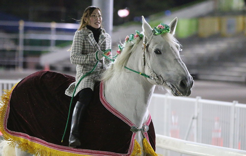 ☆レア☆2009☆北海道限定 ばんえい競馬 5枠バージョン ハローキティ