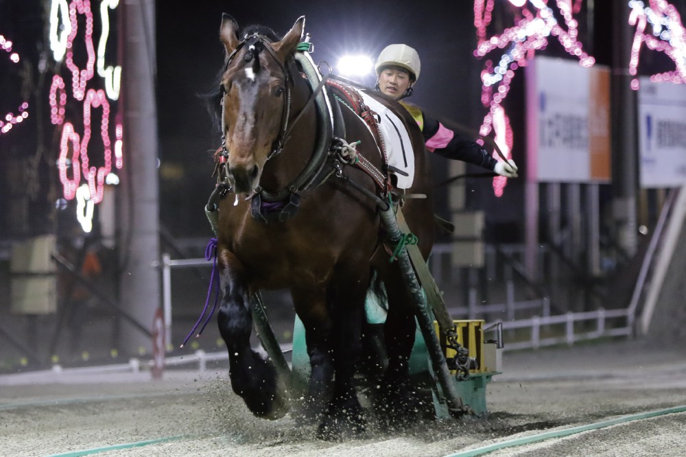 5月24日（月）ばんえい競馬 開催日です | 【公式】ばんえい十勝