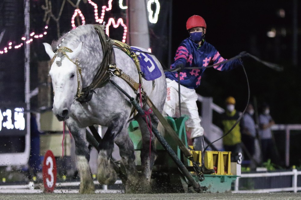 5月29日 土 ばんえい競馬 開催日です 公式 ばんえい十勝 5月29日 土 ばんえい競馬 開催日です 公式 ばんえい十勝