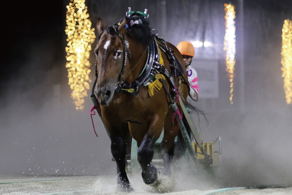 7月18日（日）ばんえい競馬 開催日です | 【公式】ばんえい十勝