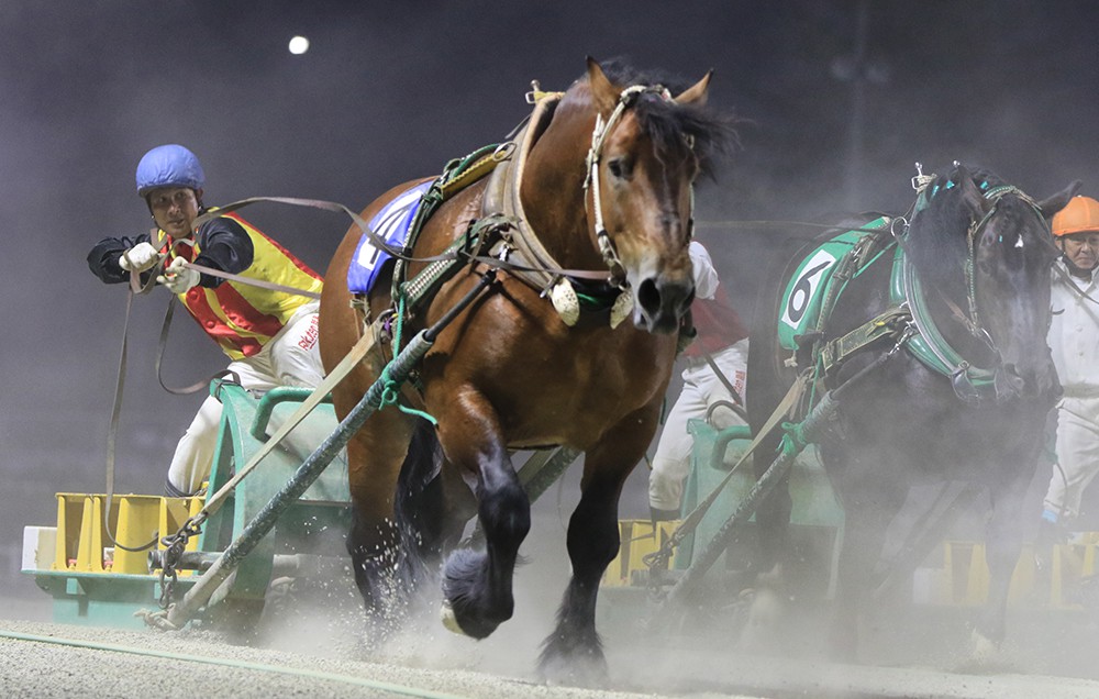 7月24日（土）ばんえい競馬 開催日です | 【公式】ばんえい十勝